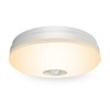 C-J-W LED Sensor Light Compact with Human Detection Sensor LED