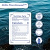 Celtic Sea Salt Bag Fine Ground, 5 Pound