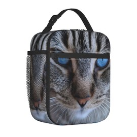 VANZEV Insulated Lunch Box for Women Men, Cat Lunch Box Reusable Portable Lunch Bag Cooler Tote Waterproof Lunch Container for Office Picnic Work Travel Hiking