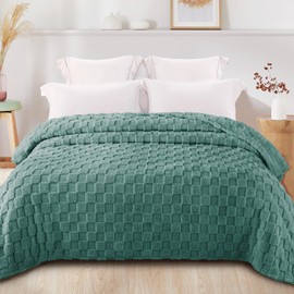 Exclusivo Mezcla Queen Size Flannel Fleece Blanket, Super Cozy and Warm Lightweight Cute Checkered Blankets for Women, 90x90 Inches, Celadon