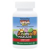 Nature's Plus Animal Parade DHA Cherry -- 90 Chewable Tablets