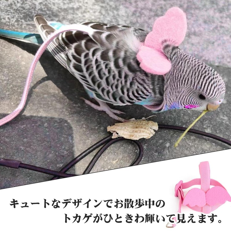 PAVIKE Bird Harness, Parakeet Lead, Adjustable Rope, For Walks, Prevents