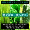 coco iine Enzyme Green Juice, 139 Types of Enzymes, Produced