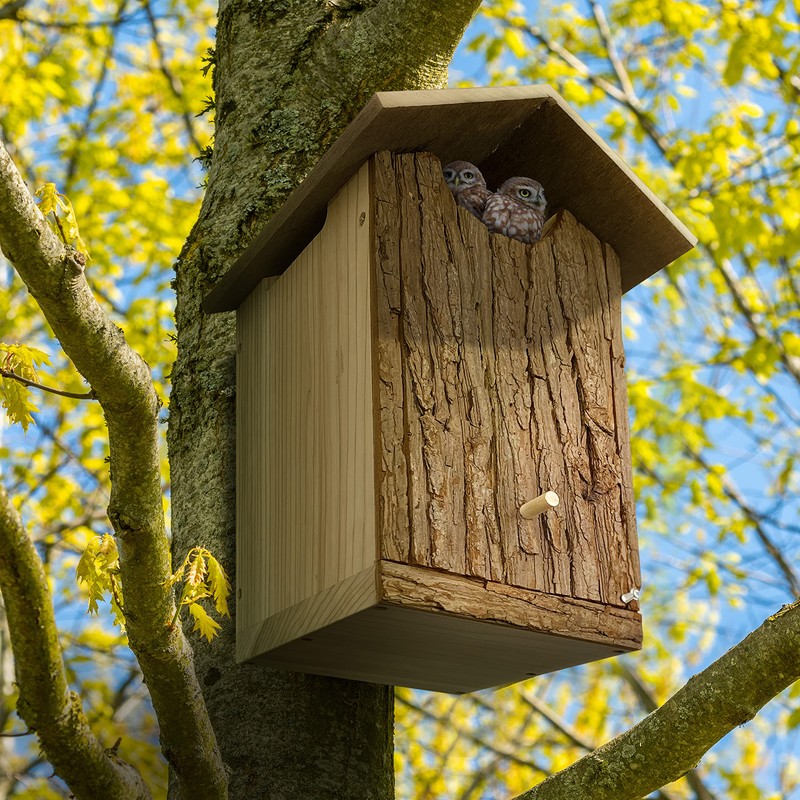 Outer Trails Japanese Cedar Wooden Owl Houses, Bark Front
