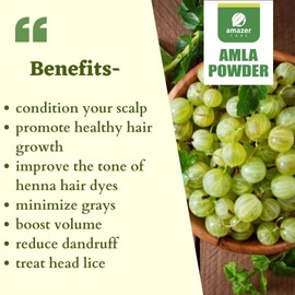 AmazerCare Amla Reetha Shikakai Powder for Hair, Natural Hair Care Combo Amla + Aritha (Reetha) + Shikakai (175 gm each) 100% Pure, 3 Pouches