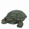 Hi-Line Gift 75629-D 10" Turtle Statue