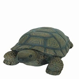 Hi-Line Gift 75629-D 10" Turtle Statue