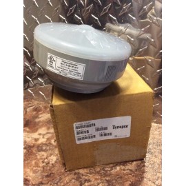 Synapse Rohs Photocontrolle