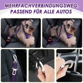 SlowTon Dog Harness with Seat Belt for Car, Breathable Dog Harness, Safety Belt with 2 Carabiner Hooks for Attaching to Seat Belt Buckle or Boot (Purple, M)