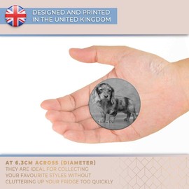 Destination Vinyl ltd Magnet for Refrigerator, Fridge BW - Cute Dachshund Puppy Dog Fun for Office, Cabinet and Whiteboard, Magnetic Stickers, 37966