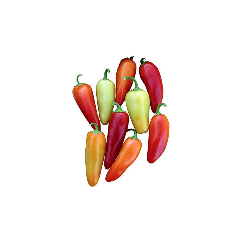 Santa Fe Grande Guero Pepper Premium Seeds for Planting Packet