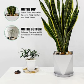 Rocks for Plants 5 Lbs, 0.8-1.5 Inch High Polished Pebbels, Decorative Stones for Garden Landscaping, Smooth Gravel Filler for Outdoor Plants, Succulents, Fish Tank and Vases