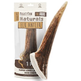 Mighty Paw Elk Antlers for Dogs | Large Size 8'' Premium Deer Antlers, Pets &Puppies. Long Lasting Aggressive Chewers. Dog Antler Chews for Large &XL Dog,1 Count (Pack of 1)