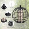 SOARS Hanging Bird Feeder with Protective Cage Metal, Bird Feeder