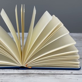 Travelogue Drawing Book, Pocket Landscape 3-1/2 x 5-1/2, Ivory Black Artist Journal