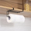 Toallero de Papel T.R.Sani 1008B Negro de Acero Inoxidable -