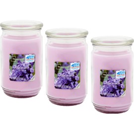 Mainstays 20oz Scented Candles 3-Pack (Lilac Breeze)