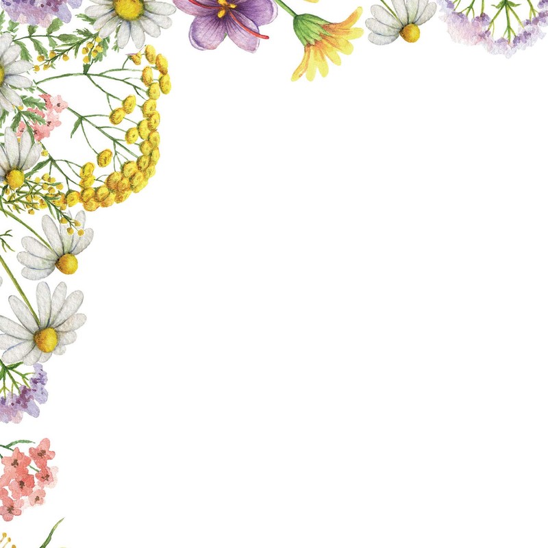 Great Papers! Flower Meadows Letterhead for Classroom, Invitation, and Personal