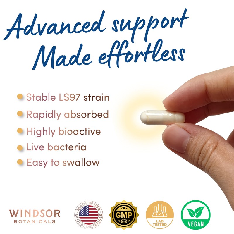 WINDSOR BOTANICALS Lactobacillus Salivarius Probiotic Capsules - L Salivarius Probiotic