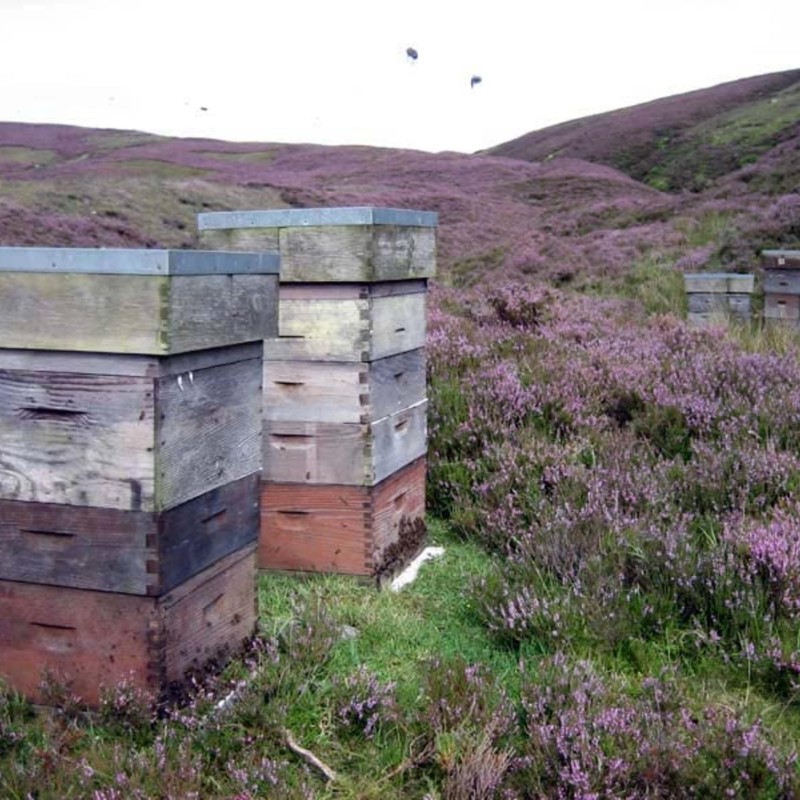 John Mellis Apiaries Scottish Honey, Scottish Heather Honey, 12 Ounce