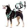 UNA MASCOTA Arnés para Perros Reflectante y Transpirable - Correa