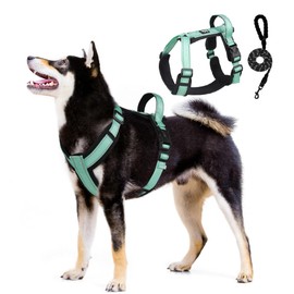UNA MASCOTA Arnés para Perros Reflectante y Transpirable - Correa de Pecho Cómoda para Perros con Correa 1.5m (Verde Menta, L)