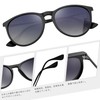 Rimerakea Round Sunglasses, B: Matte Black/Gradient Gray