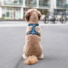 DOG Copenhagen Comfort Walk Air 3.0 Dog Harness - Harness
