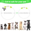 2 Pack Light Up Dog Collar, USB Rechargeable Dog Collar