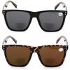 V.W.E. 2 Pairs Women Oversized Square BIFOCAL Sunglasses Reader -