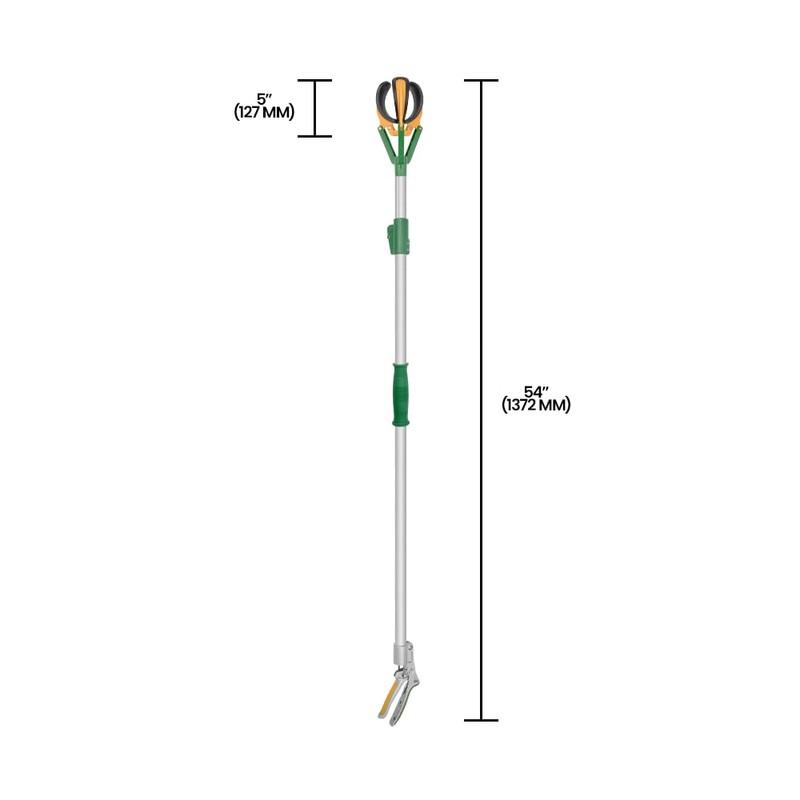 Zenport ZL6146A Long Reach Telescopic Fruit Harvester and Picker, 6-Feet
