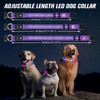 LED Dog Collar, Light Up Dog Collar, USB Rechargeable -
