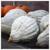 Everwilde Farms - 1 Lb Organic Blue Hubbard Winter Squash