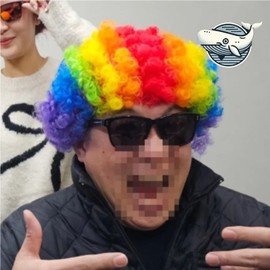 Gorgeous Rainbow Color Bomb Hair Fun (WFHJ3HT) / 화려한 레인보우 컬러 폭탄 머리 재미있는 (WFHJ3HT)