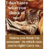 Funny Cat  refrigerator magnet 31/2 x 4 1/2"