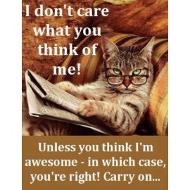 Funny Cat  refrigerator magnet 31/2 x 4 1/2"