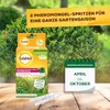 Solabiol Boxwood Moth Trap Refill Pack for Filling Solabiol Boxwood