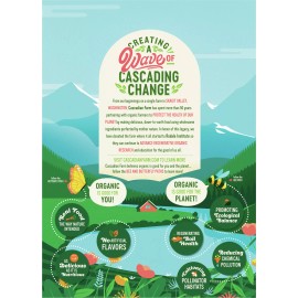 Cascadian Farm Purely O's Cereal 8.6 oz (Pack of 12)