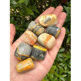 1/4 Pound Bumble Bee Jasper Tumbled Stones, Polished Bumble Bee Jasper Rock, Genuine Bumble Bee Jasper Stone Bulk Lot
