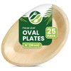 ECO Leaf | 25 Pack Oval Disposable Palm Leaf Plates