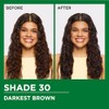 Garnier Nutrisse Tinte para el cabello, 30 café Oscuro (Sweet