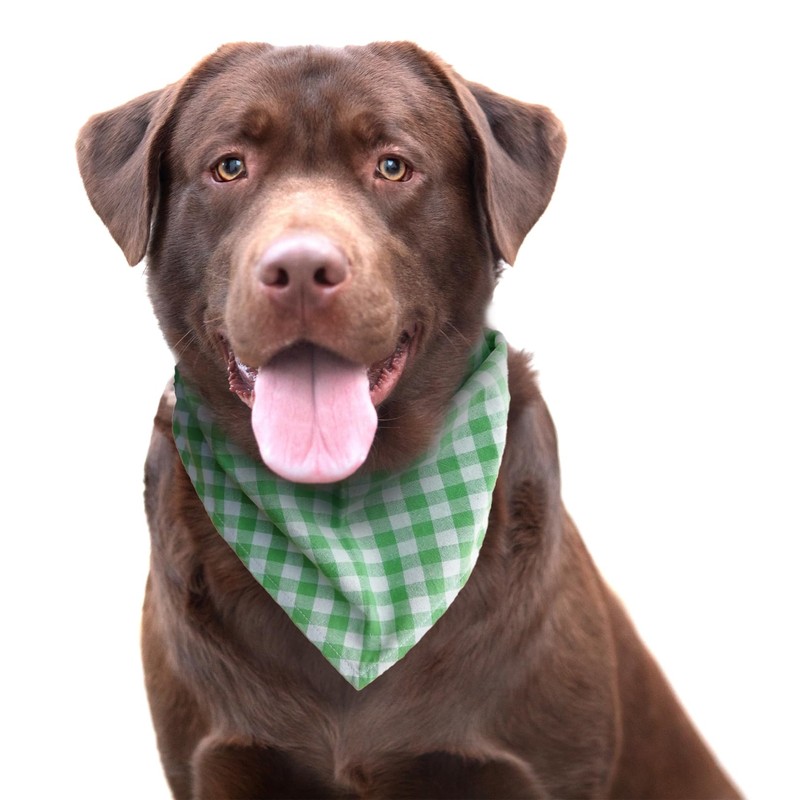 RonyPup Cotton Dog Bandanas | Pack of 4 | Breathable