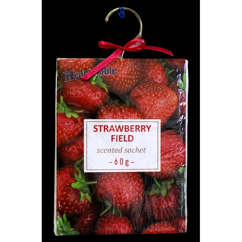 Multicolor 2 Pack Large Hanging Closet Sachet 9" x 6.75"