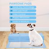 FPN Puppy Pads (300 Count, 18x24 in) Super Absorbent &