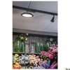 SLV 1 Phase System Light Panel Track / Spotlight, LED