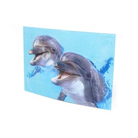 3D Postcard of Dolphins PK19 Loose Card Holographic Dolphins Animals Fish Fish