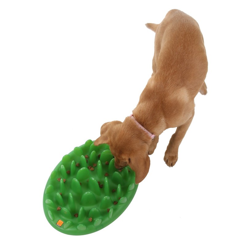 Company of Animals GREEN Slow Interactive Feeder for Dogs, Size
