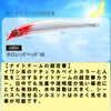 DUEL(デュエル) アイルマグネット TG ダータースリム 145mmフローティング 29g ホロレッドヘッド 遠投 重心移動