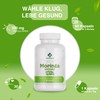 Moringa Oleifera Extrakt 500mg 60 Kapseln Miracle Tree
