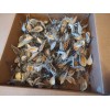Fresh Milkweed seeds, 1,000 seeds, fresh 2024, from wild grown